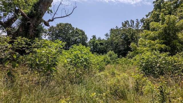 1138 County Road 8120, West Plains, MO 65775 - photo 17