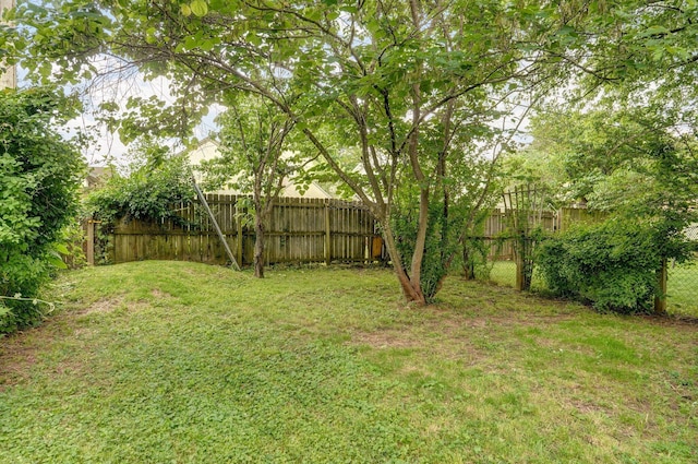 1040 E Kingsbury St, Springfield, MO 65807 - photo 31