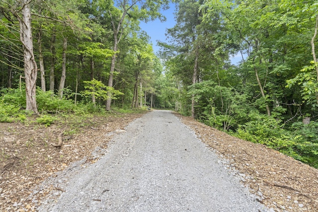 000 W Old Limey Rd, Brookline, MO 65619 - photo 2