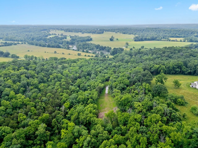 000 W Old Limey Rd, Brookline, MO 65619 - photo 10