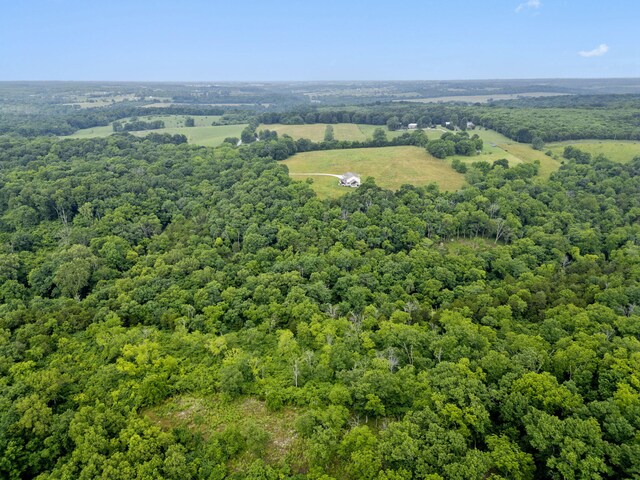 000 W Old Limey Rd, Brookline, MO 65619 - photo 8