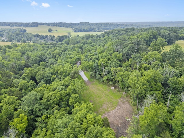 000 W Old Limey Rd, Brookline, MO 65619 - photo 11
