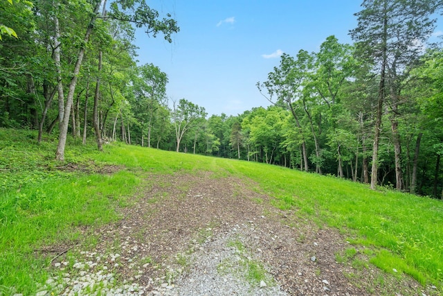 000 W Old Limey Rd, Brookline, MO 65619 - photo 3