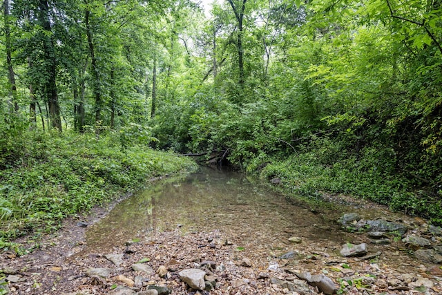 000 W Old Limey Rd, Brookline, MO 65619 - photo 6