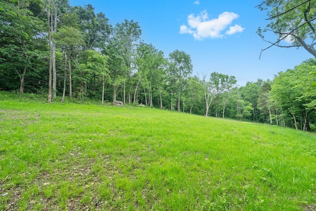 000 W Old Limey Rd, Brookline, MO 65619 - photo 4