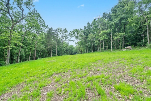 000 W Old Limey Rd, Brookline, MO 65619 - photo 5