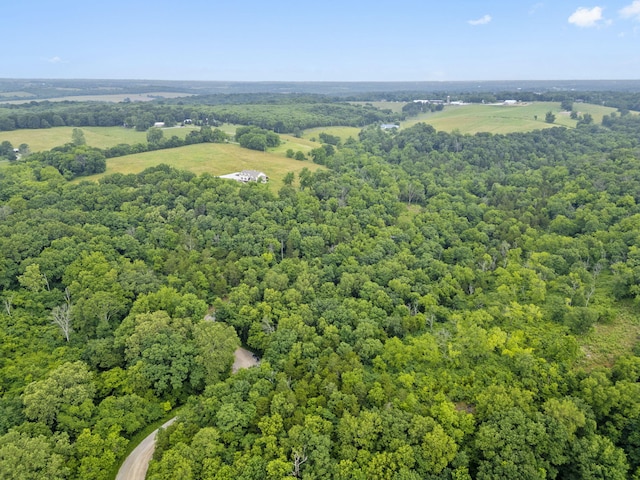 000 W Old Limey Rd, Brookline, MO 65619 - photo 1