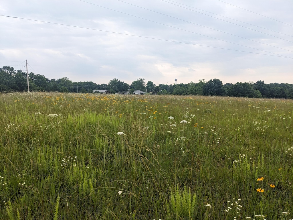 000 Bison Rd, Crocker, MO 65452