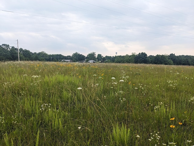 000 Bison Rd, Crocker, MO 65452