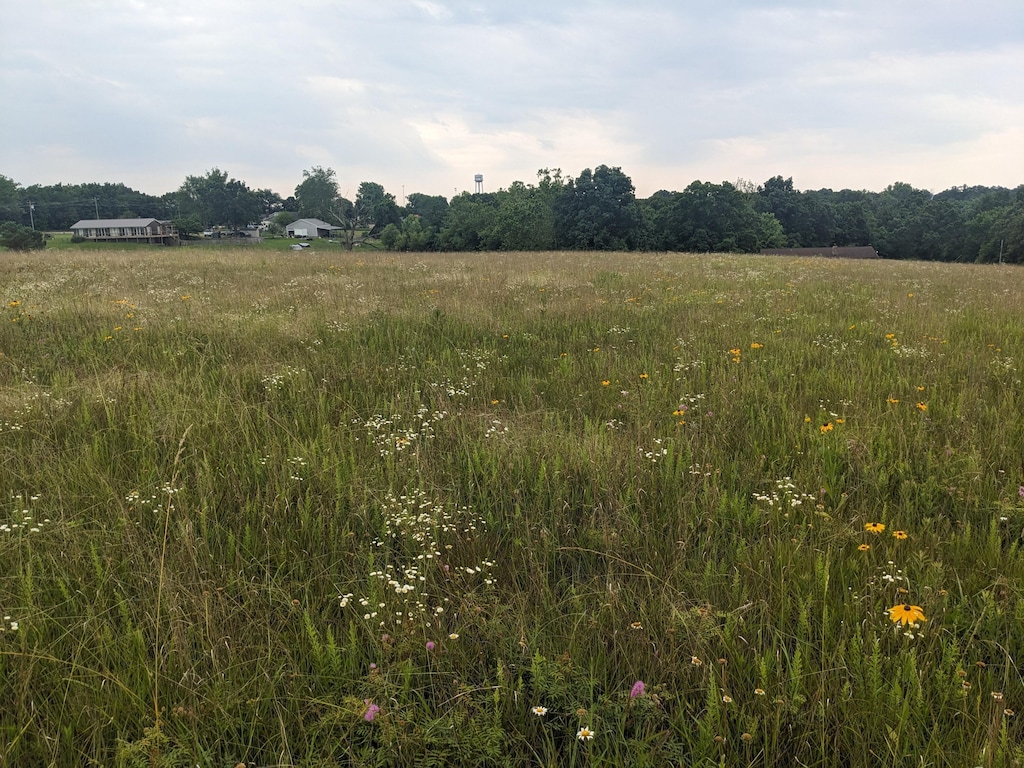 000 Bison Rd, Crocker, MO 65452