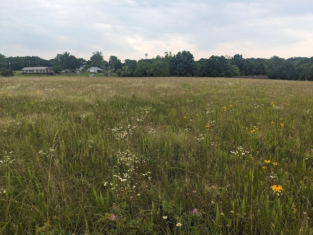 000 Bison Rd, Crocker, MO 65452