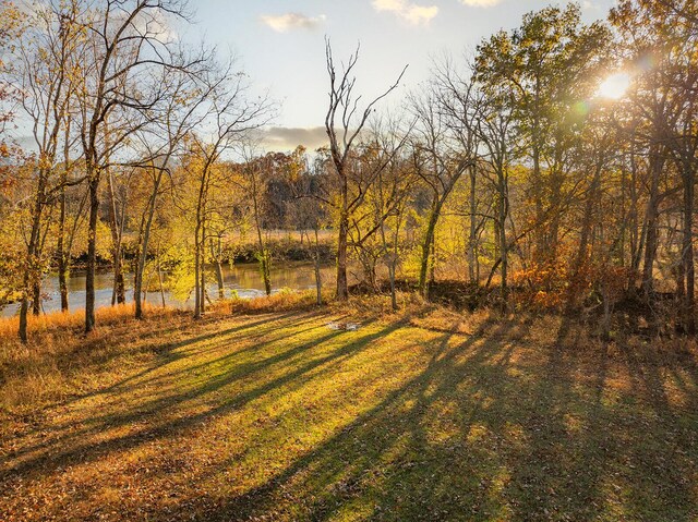 621 S Woodhaven Rd, Nixa, MO 65714 - view of grassy yard