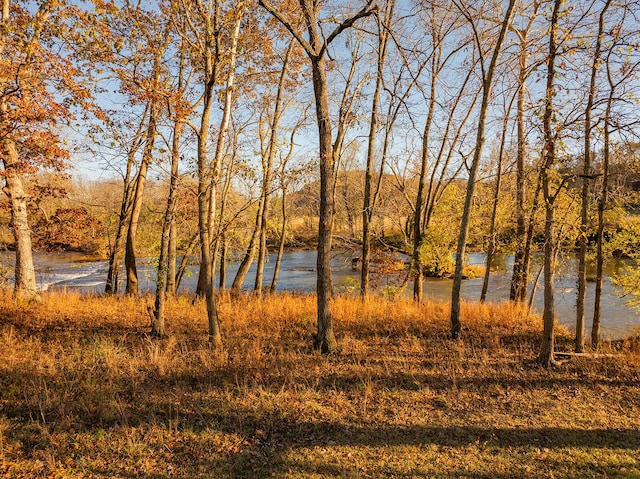 621 S Woodhaven Rd, Nixa, MO 65714 - water view