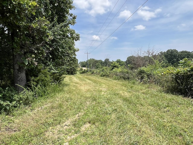 2191 County Road 2790, Mountain View, MO 65548 - view of yard