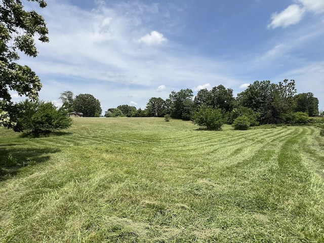 2191 County Road 2790, Mountain View, MO 65548 - view of green lawn with a view of rural / pastoral area