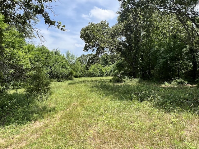 2191 County Road 2790, Mountain View, MO 65548 - view of woods