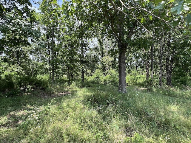 2191 County Road 2790, Mountain View, MO 65548 - view of nature