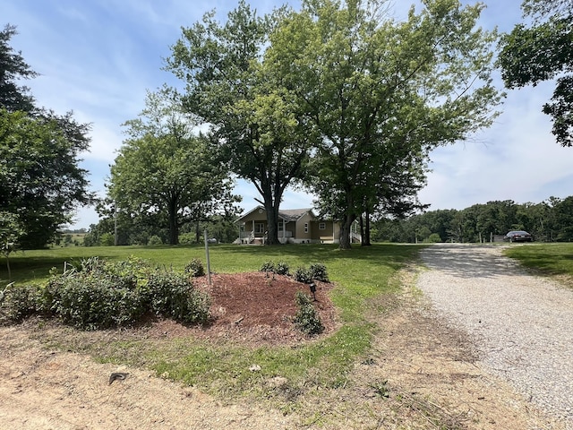 2191 County Road 2790, Mountain View, MO 65548 - view of road