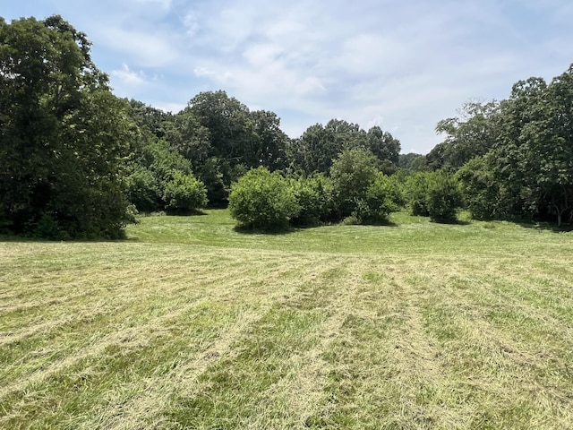 2191 County Road 2790, Mountain View, MO 65548 - view of green lawn featuring a rural view