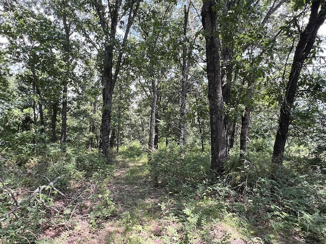 2191 County Road 2790, Mountain View, MO 65548 - view of woods