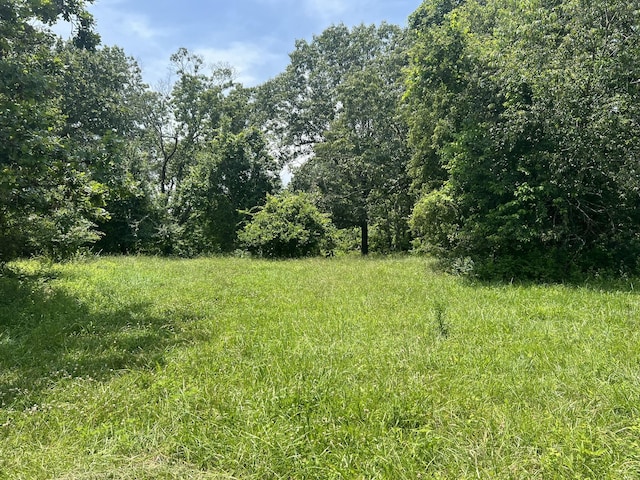 2191 County Road 2790, Mountain View, MO 65548 - view of local wilderness