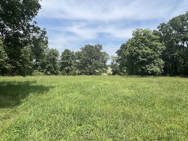 2191 County Road 2790, Mountain View, MO 65548 - view of undeveloped land