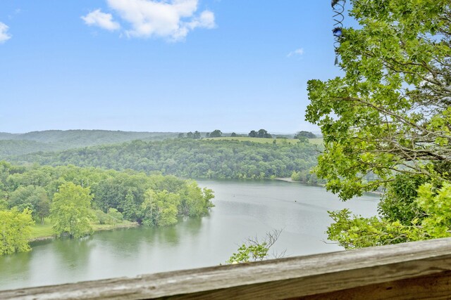 25209 Farm Rd Unit 2265, Golden, MO 65658 - photo 10