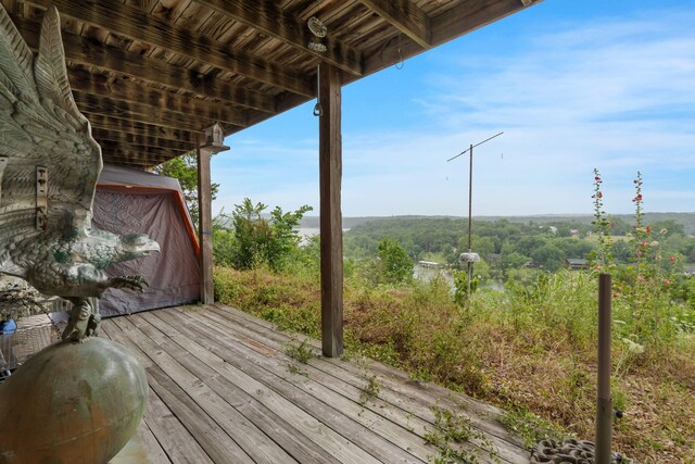 25209 Farm Rd Unit 2265, Golden, MO 65658 - photo 31