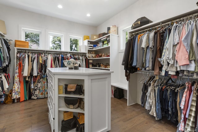 5817 E Summit View Dr, Springfield, MO 65809 - walk in closet with hardwood / wood-style flooring
