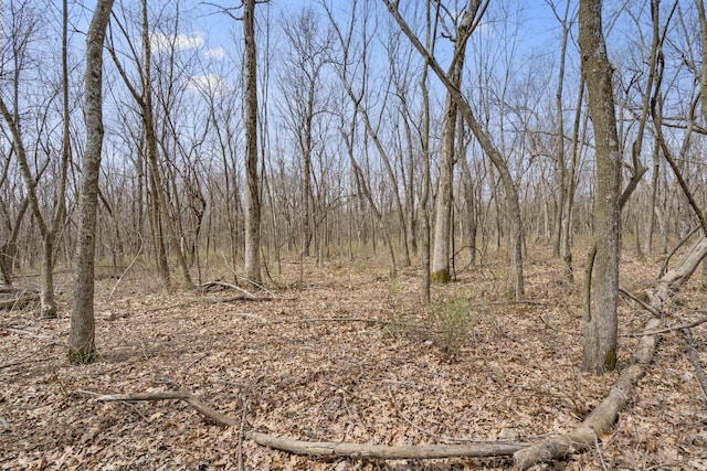 2007 N Farm Rd 89, Springfield, MO 65802 - photo 2