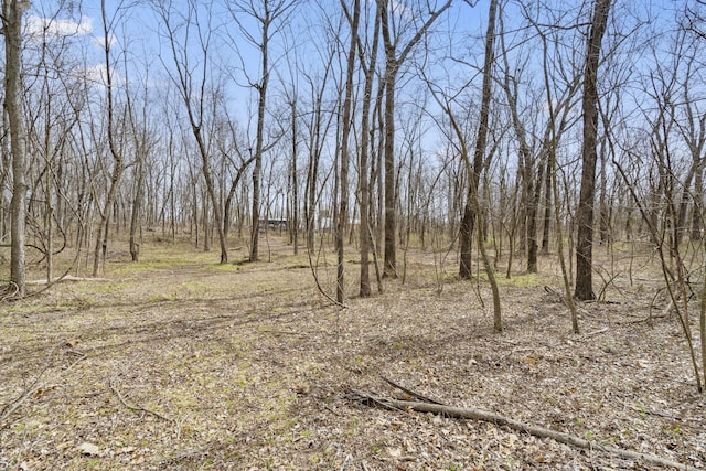 2007 N Farm Rd 89, Springfield, MO 65802 - photo 6
