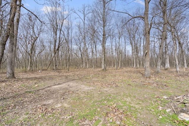 2007 N Farm Rd 89, Springfield, MO 65802 - photo 13