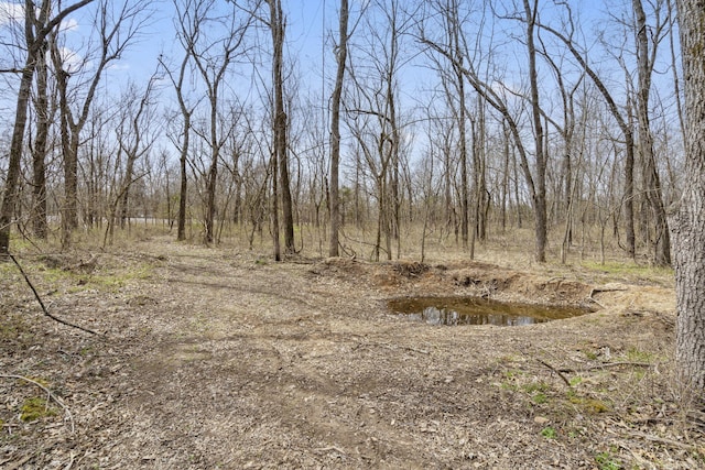 2007 N Farm Rd 89, Springfield, MO 65802 - photo 5