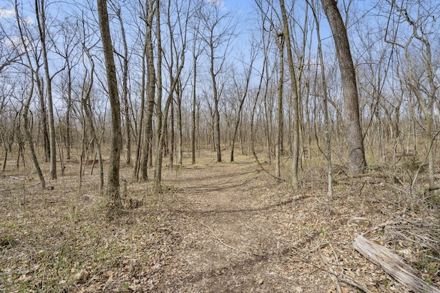 2007 N Farm Rd 89, Springfield, MO 65802 - photo 4