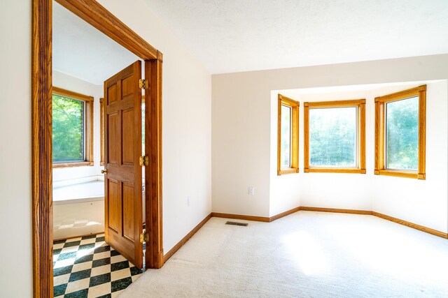 5506 County Road 9100, West Plains, MO 65775 - photo 17