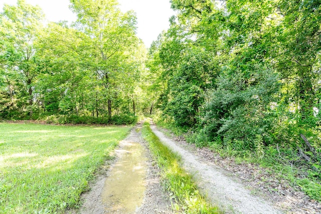 5506 County Road 9100, West Plains, MO 65775 - photo 51