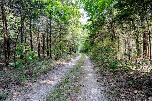 5506 County Road 9100, West Plains, MO 65775 - photo 49