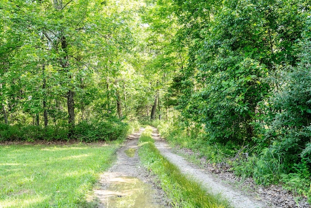 5506 County Road 9100, West Plains, MO 65775 - photo 52
