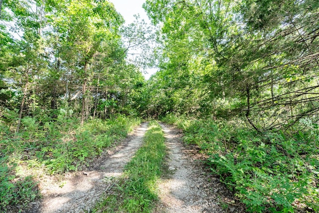 5506 County Road 9100, West Plains, MO 65775 - photo 50