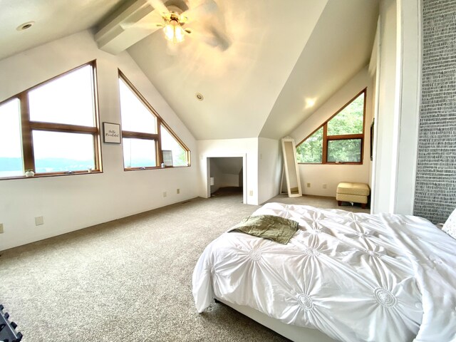 5541 S State Highway 43, Southwest City, MO 64863 - photo 27