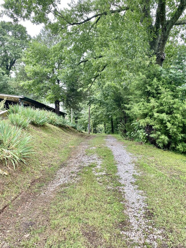 5541 S State Highway 43, Southwest City, MO 64863 - photo 69