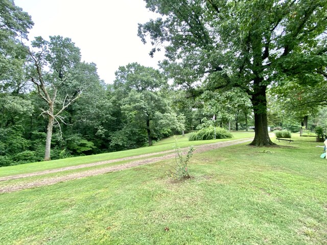 5541 S State Highway 43, Southwest City, MO 64863 - photo 62