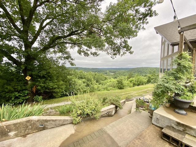 5541 S State Highway 43, Southwest City, MO 64863 - photo 72