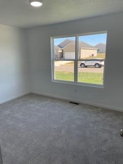 569 Abigail Ave, Republic, MO 65738 - photo 14