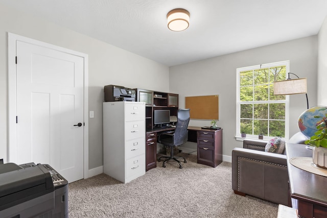 427 N Maynard Rd, Nixa, MO 65714 - office space featuring light colored carpet and baseboards
