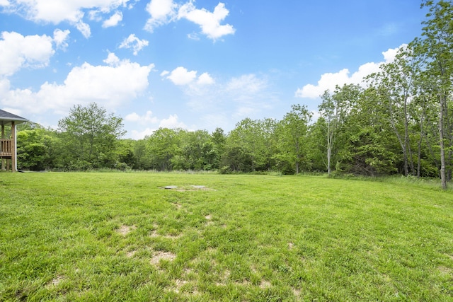427 N Maynard Rd, Nixa, MO 65714 - view of green lawn with a forest view