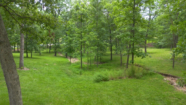 2620 Big Timber Rd, Marshfield, MO 65706 - view of grassy yard