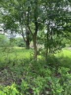 000LOT3 Sheridan Rd, Fair Grove, MO 65648