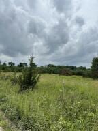 000LOT3 Sheridan Rd, Fair Grove, MO 65648