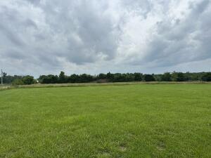 211 Sheridan Rd, Fair Grove, MO 65648 - view of nature